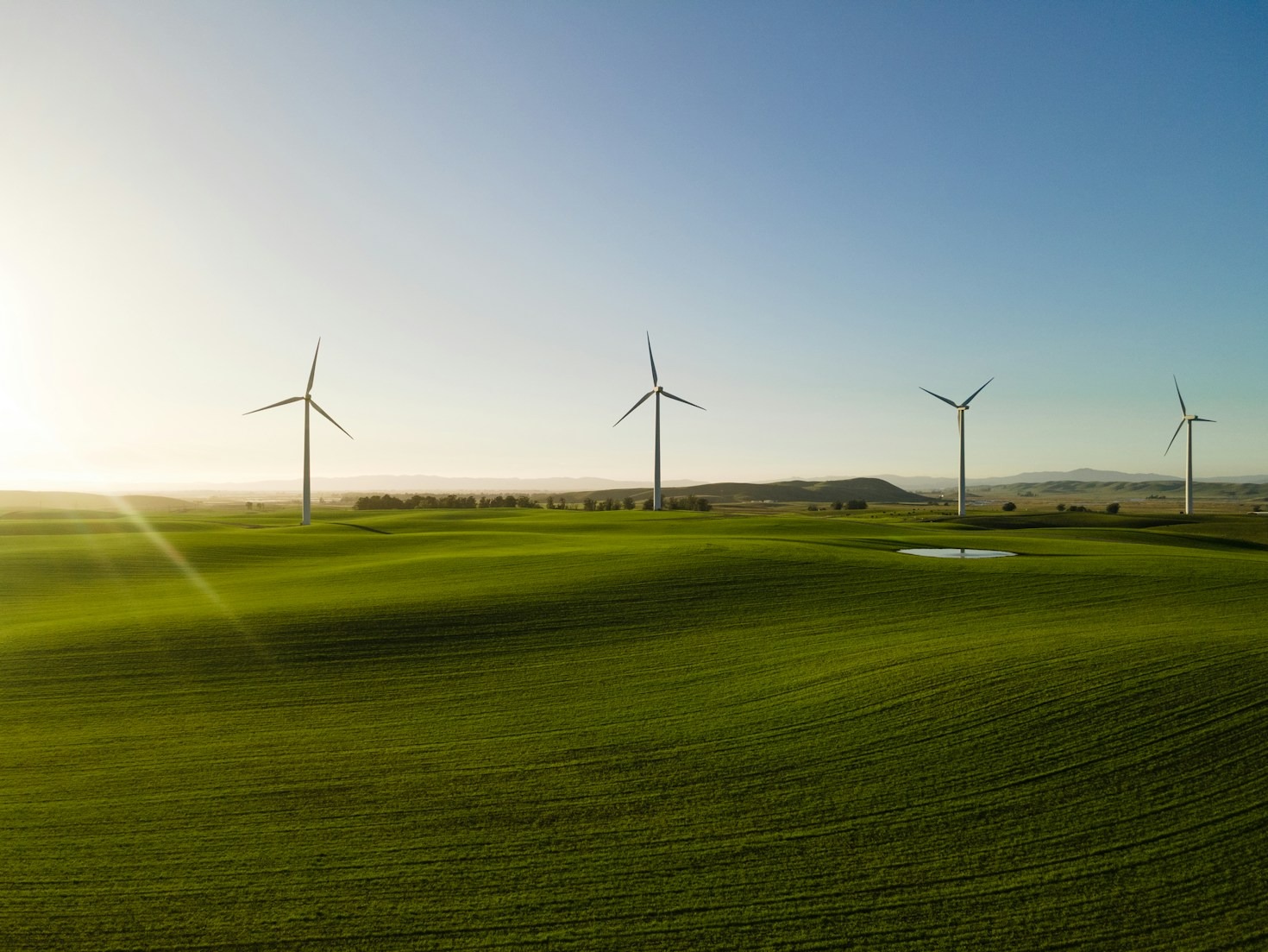 Design Trends for Sustainable and Healthy Homes